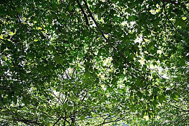 拥抱全新动力变化 《WRC：世代》混动车型预告片